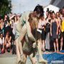 20140615_17-37-46_IMG_8347